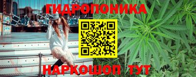 мяу мяу мука Кумертау