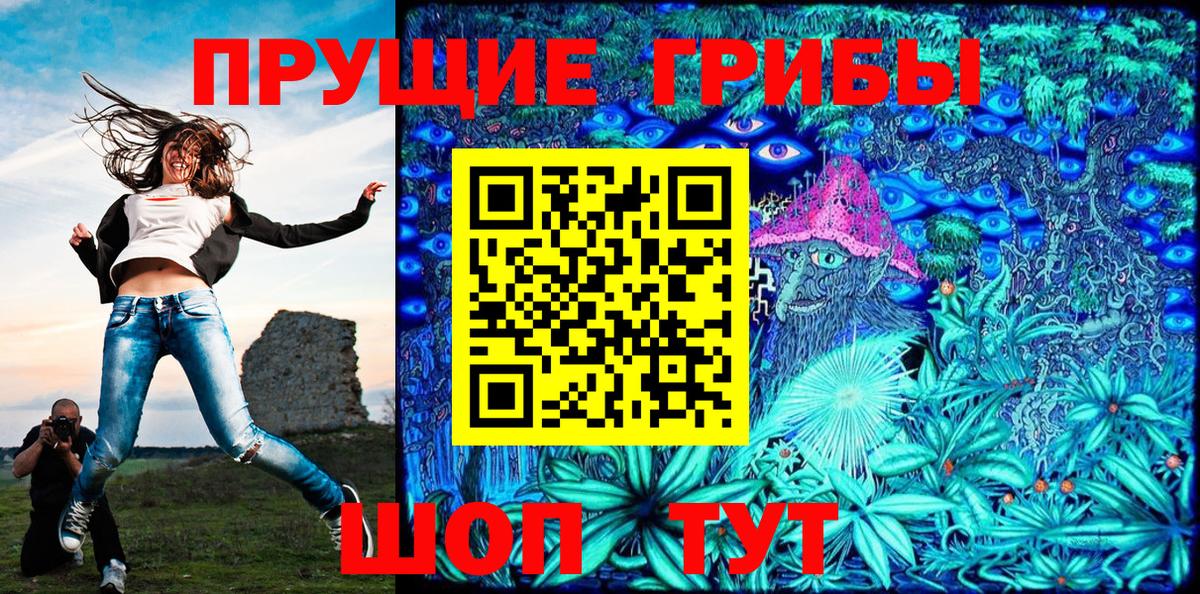 Псилоцибиновые грибы GOLDEN TEACHER  Вход с VPN  Чита 